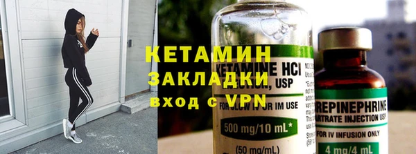 индика Аркадак