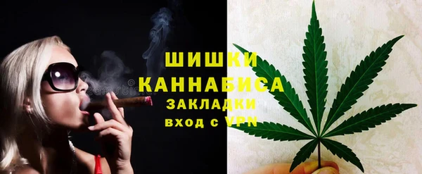 индика Аркадак