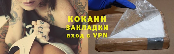индика Аркадак