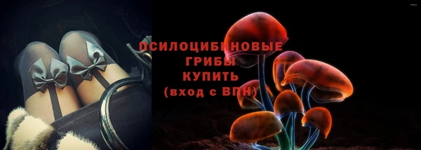 гашик Арсеньев