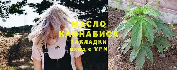 гашик Арсеньев