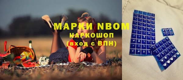 индика Аркадак
