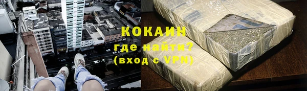 индика Аркадак