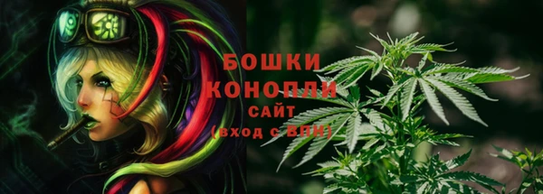 гашик Арсеньев
