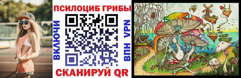 Купить Мирный Галлюциногенные грибы Psilocybe
